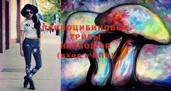 спайс Белокуриха